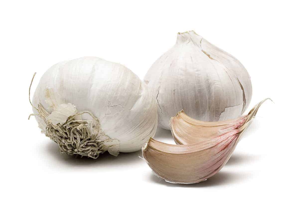 raw_garlic