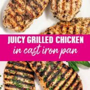 pan-seared_chicken_breasts