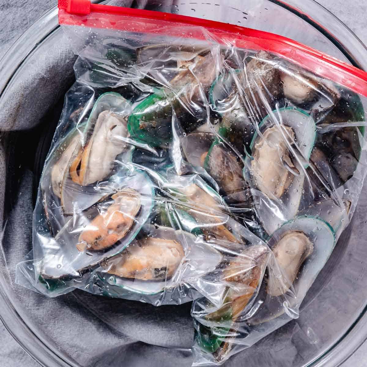 Frozen New Zealand green-lipped mussels thawing in a zip-top bag submerged in cold water.