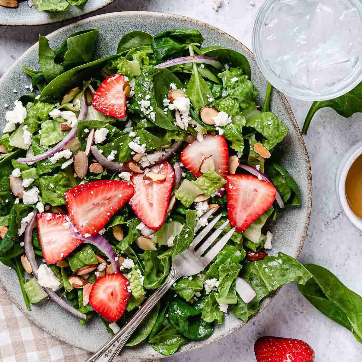 spinach and romaine salad