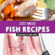 Key west Fish recipes.