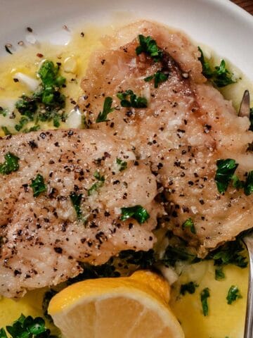 Tripletail fillet with lemon and butter sauce.