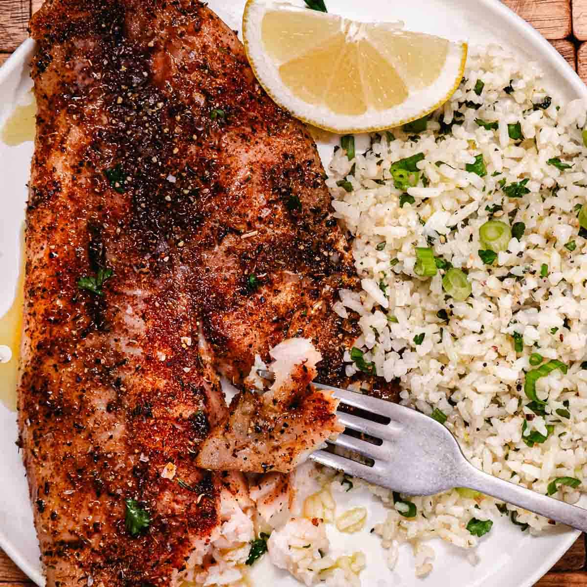 Baked red snapper fillet with lemon butter, rice, scallions, and lemon.