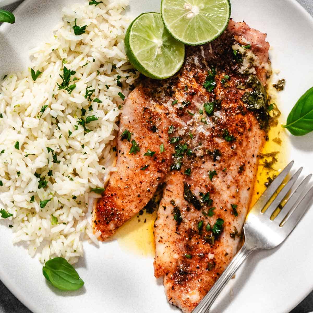 blackened mangrove snapper