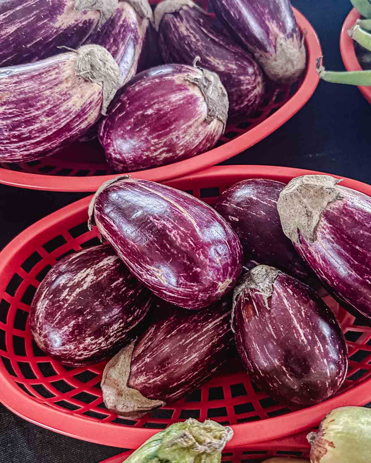 Striped baby eggplants at a Florida Keys farm stand