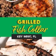 Grilled Grouper Collar PIN.