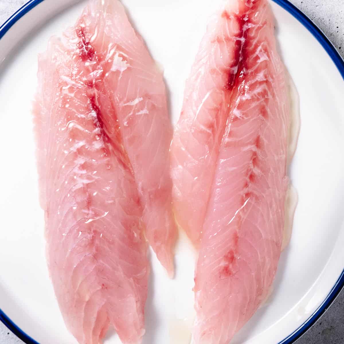 mangrove snapper fillets on a white plate.