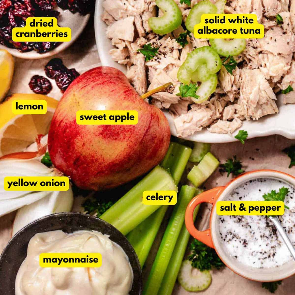 Ingredients for cranberry apple tuna salad: albacore tuna, dried cranberries, sweet apple, celery, yellow onion, lemon, mayonnaise, salt, and pepper.