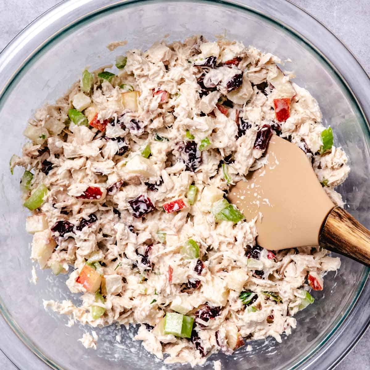 bowl of tuna salad with apples and cranberries