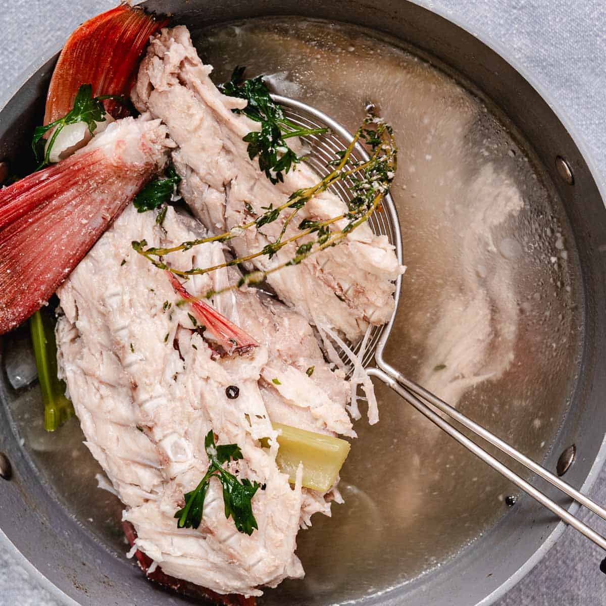 Cooked red snapper bones lifted from homemade fish stock before straining the broth.