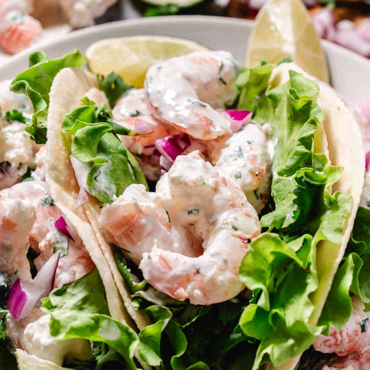 creamy shrimp wraps with lettuce