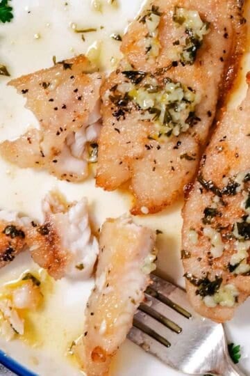 fresh fish recipes from miami and the keys