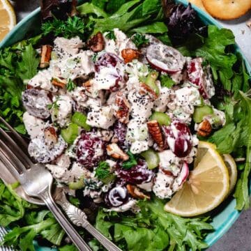 Close-up of Sonoma chicken salad with diced chicken, halved grapes, celery, pecans, and poppyseed dressing on a bed of greens.