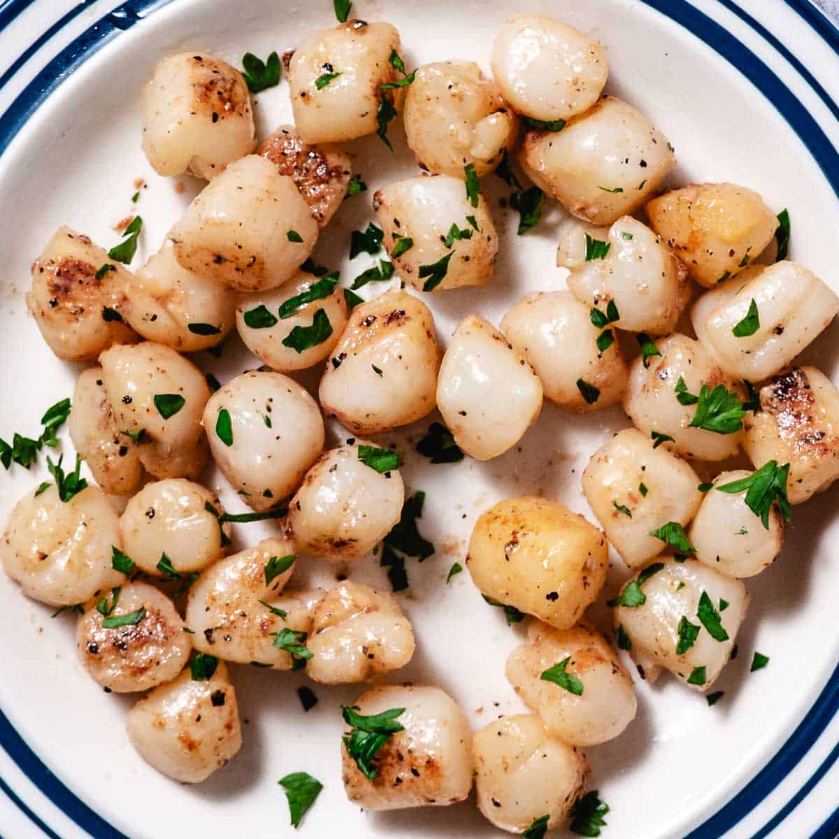 plate of cooked scallops