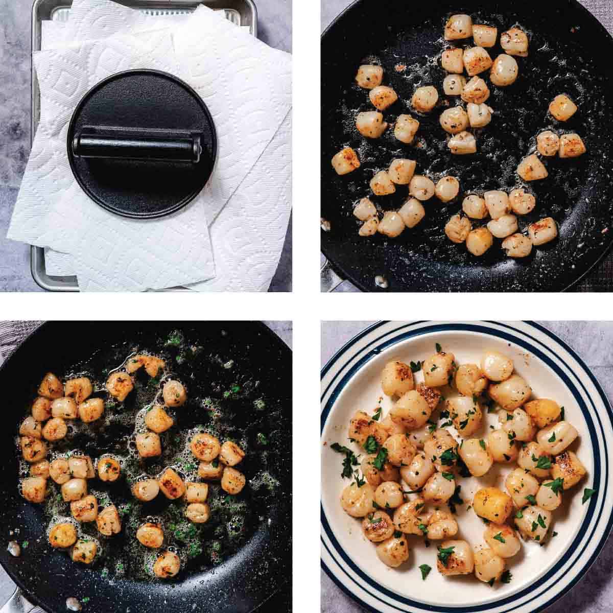 Saut&eacute;ed or seared bay scallops step by step instructions