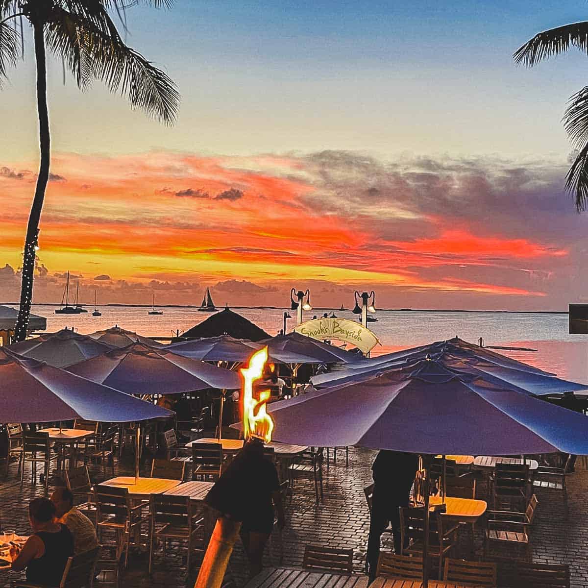best seafood in key largo