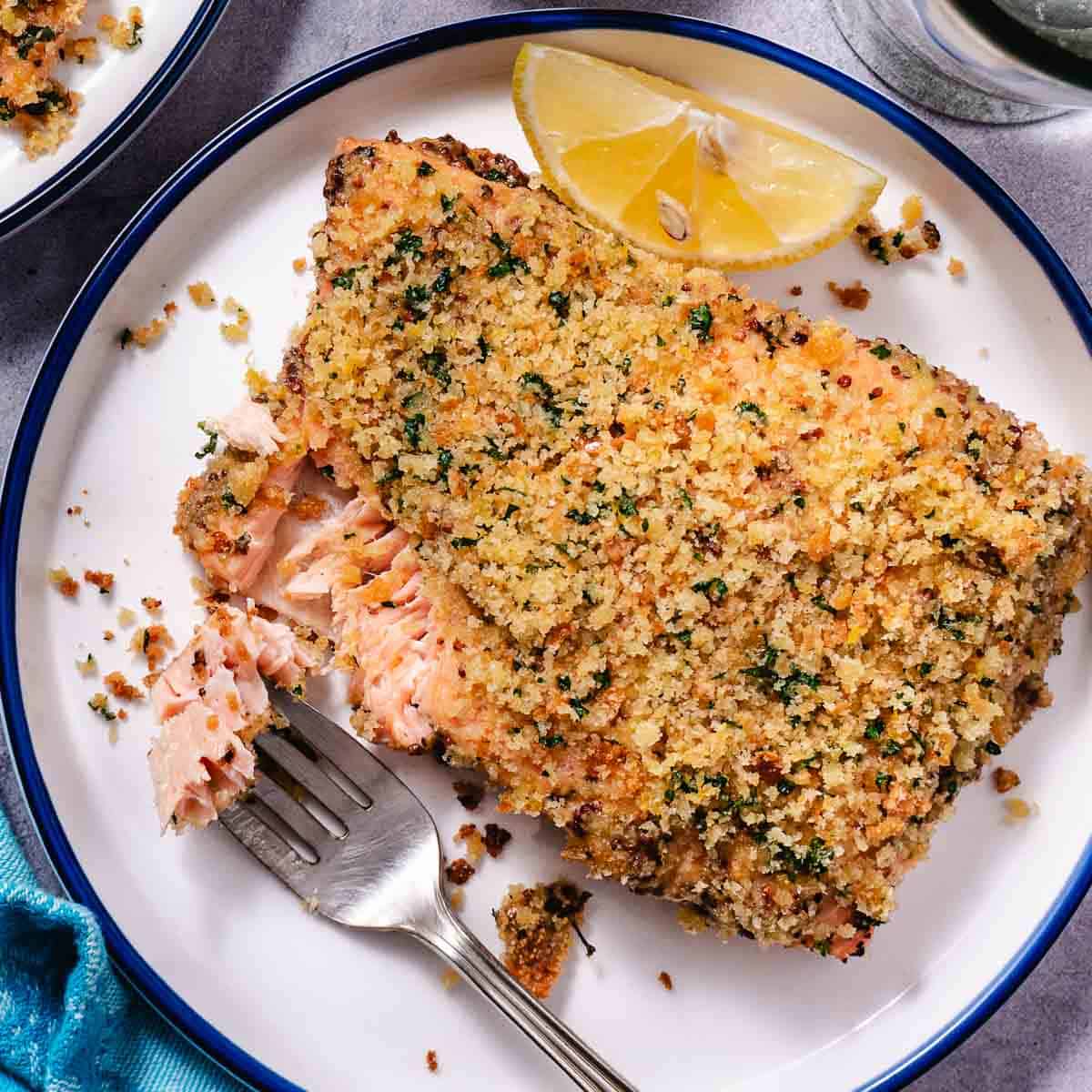 salmon recipes