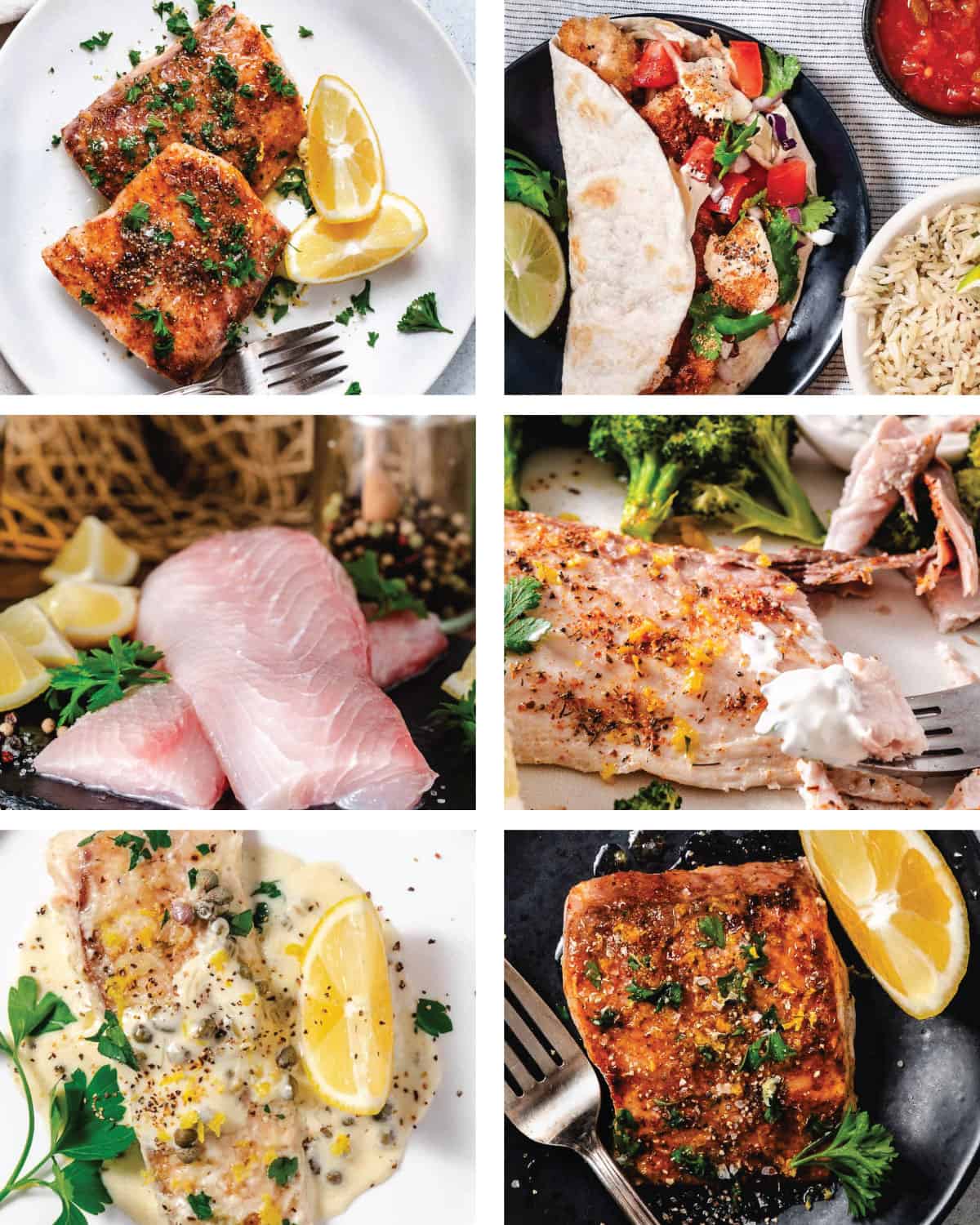 Collage of mahi mahi recipes including pan-seared fillets, fish tacos, raw mahi mahi, baked mahi, mahi with cream sauce, and blackened mahi mahi.