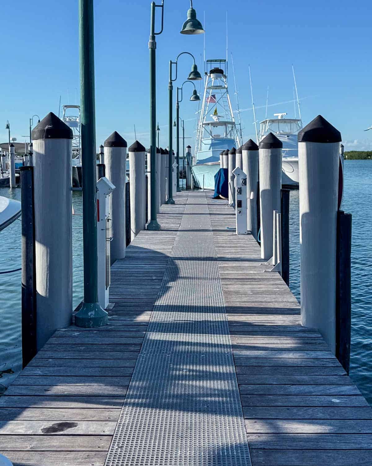 The Dock behind Bass Pro Shops in Isaamorada, Florida