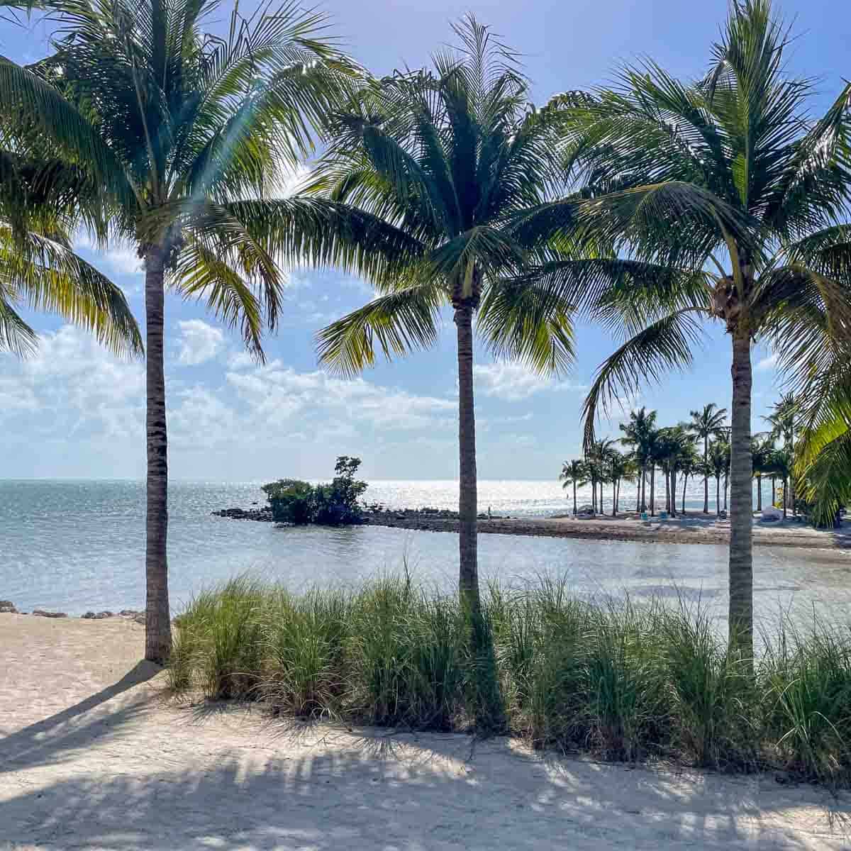 Isla Bella resort in Marathon, FL