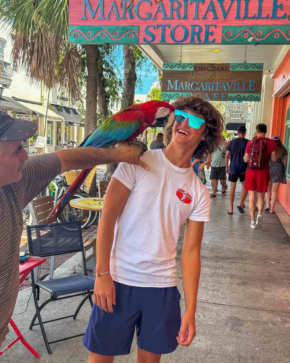 Parrot with man at Margaritaville in Key West