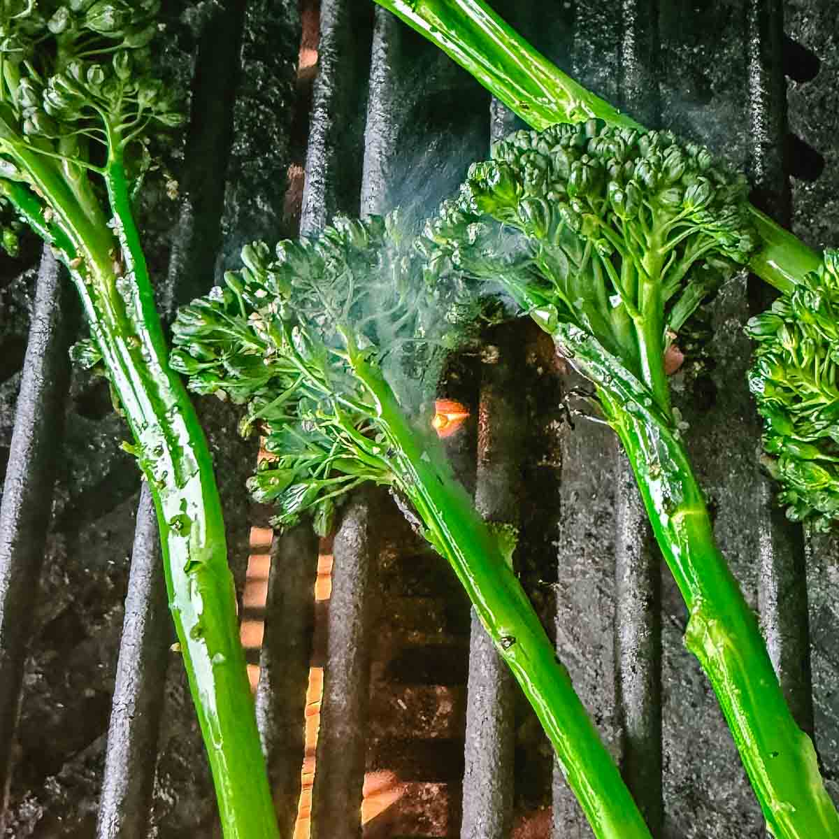 Grilled broccolini, also called baby broccoli, cooking over an outdoor grill with smoke rising through the grates.