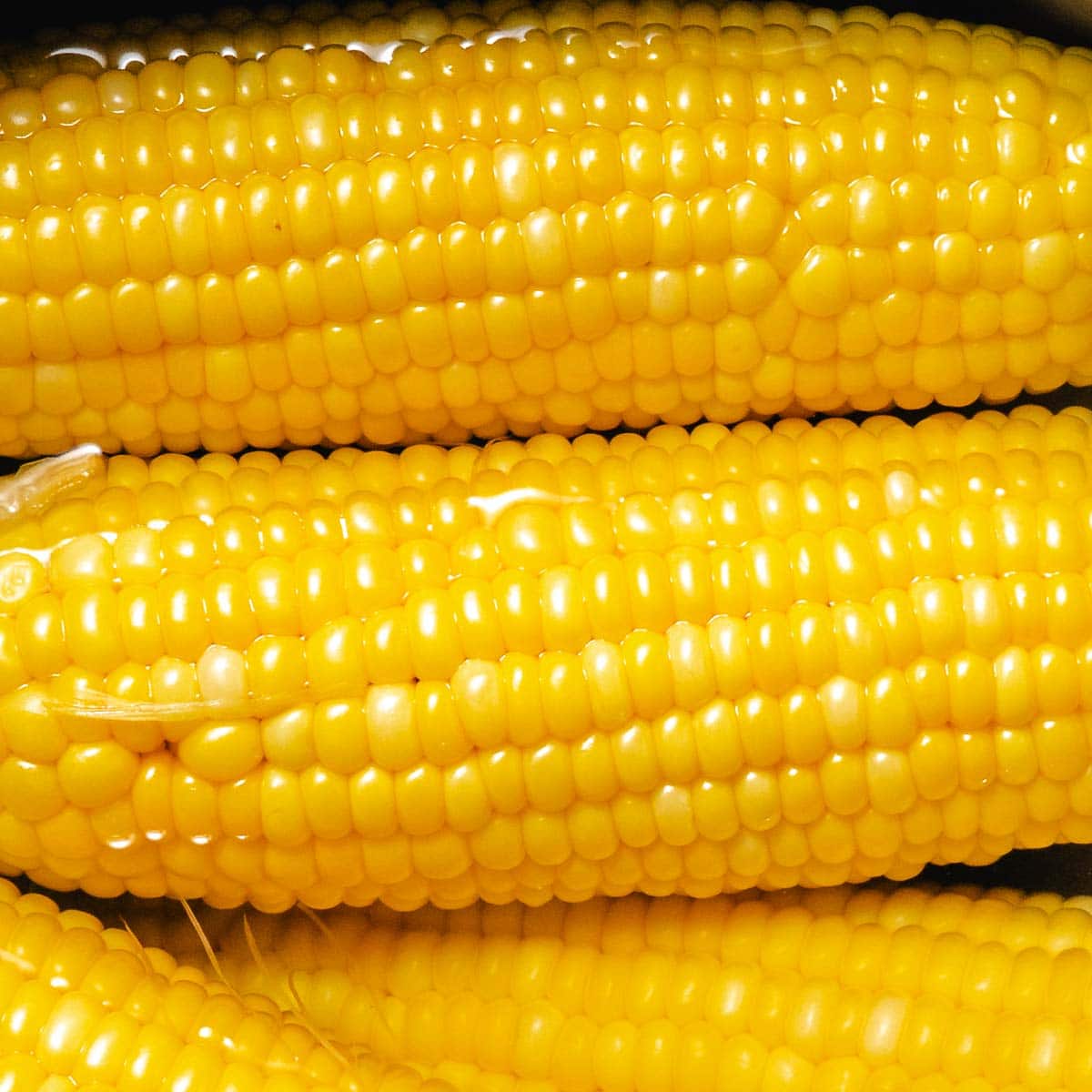 boiling corn on the cob