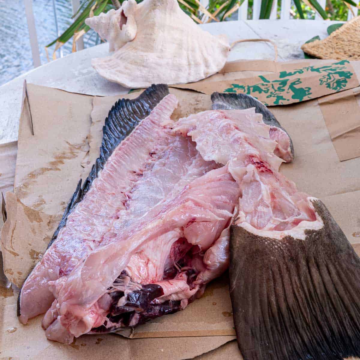 Fresh grouper carcass on brown paper for making homemade fish stock