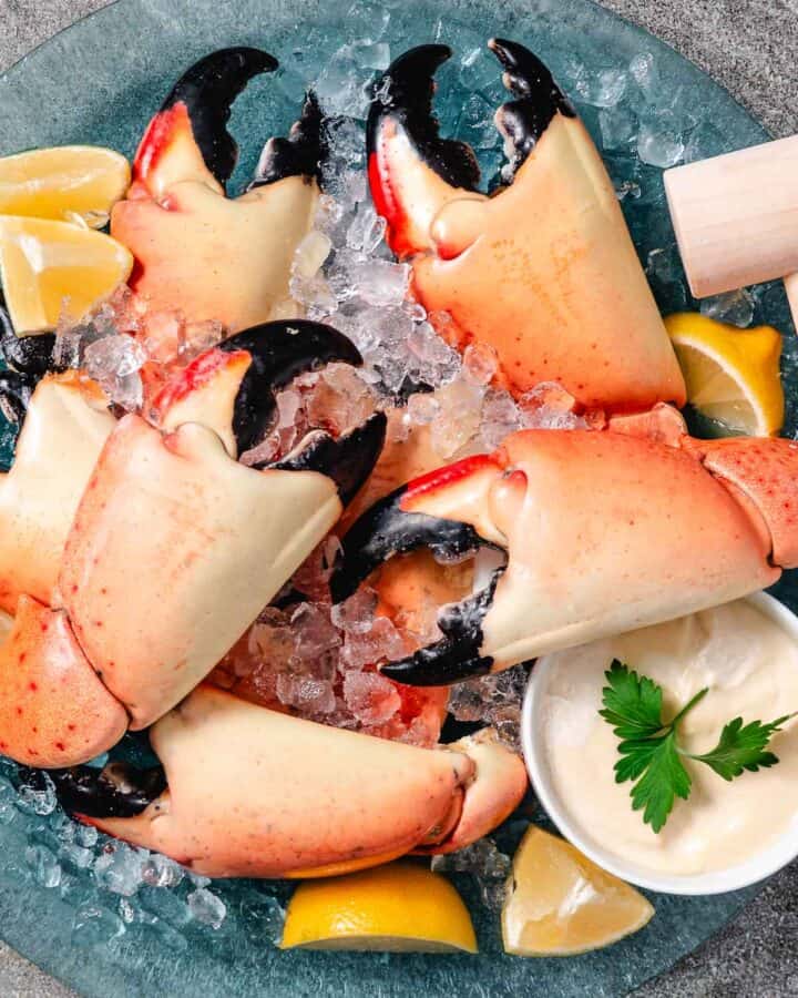 stone crab claws on ice with mustard sauce