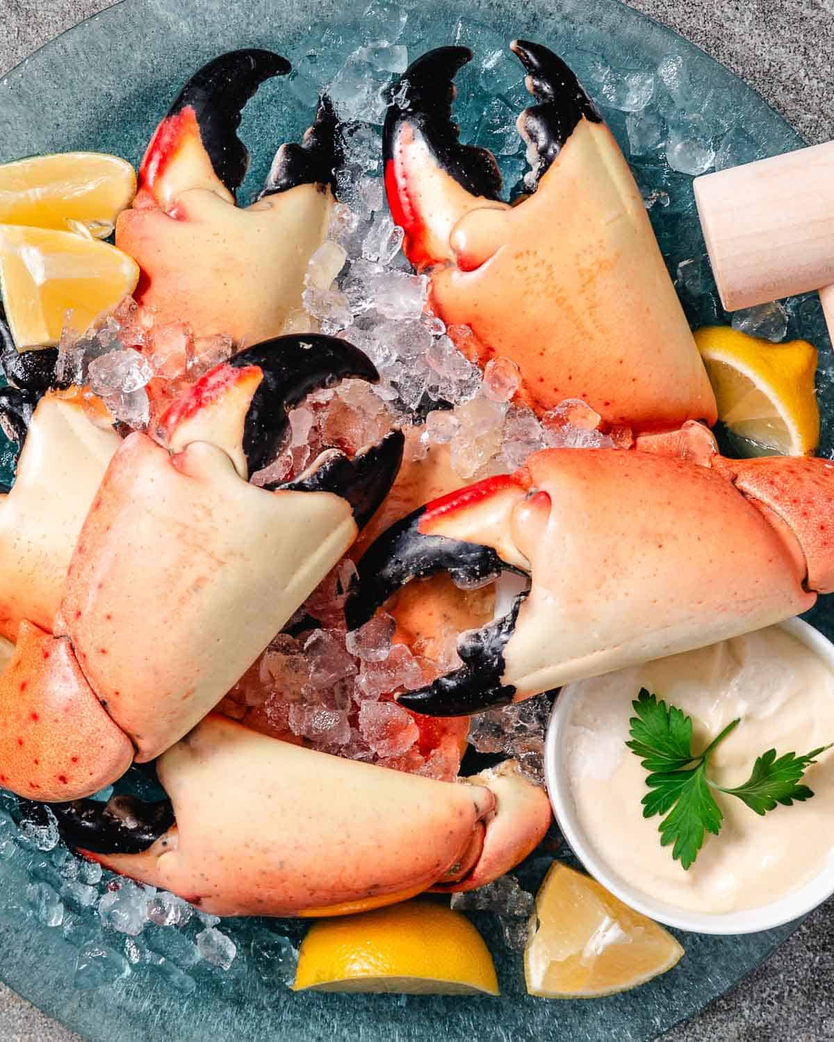 stone crab claws on ice with mustard sauce