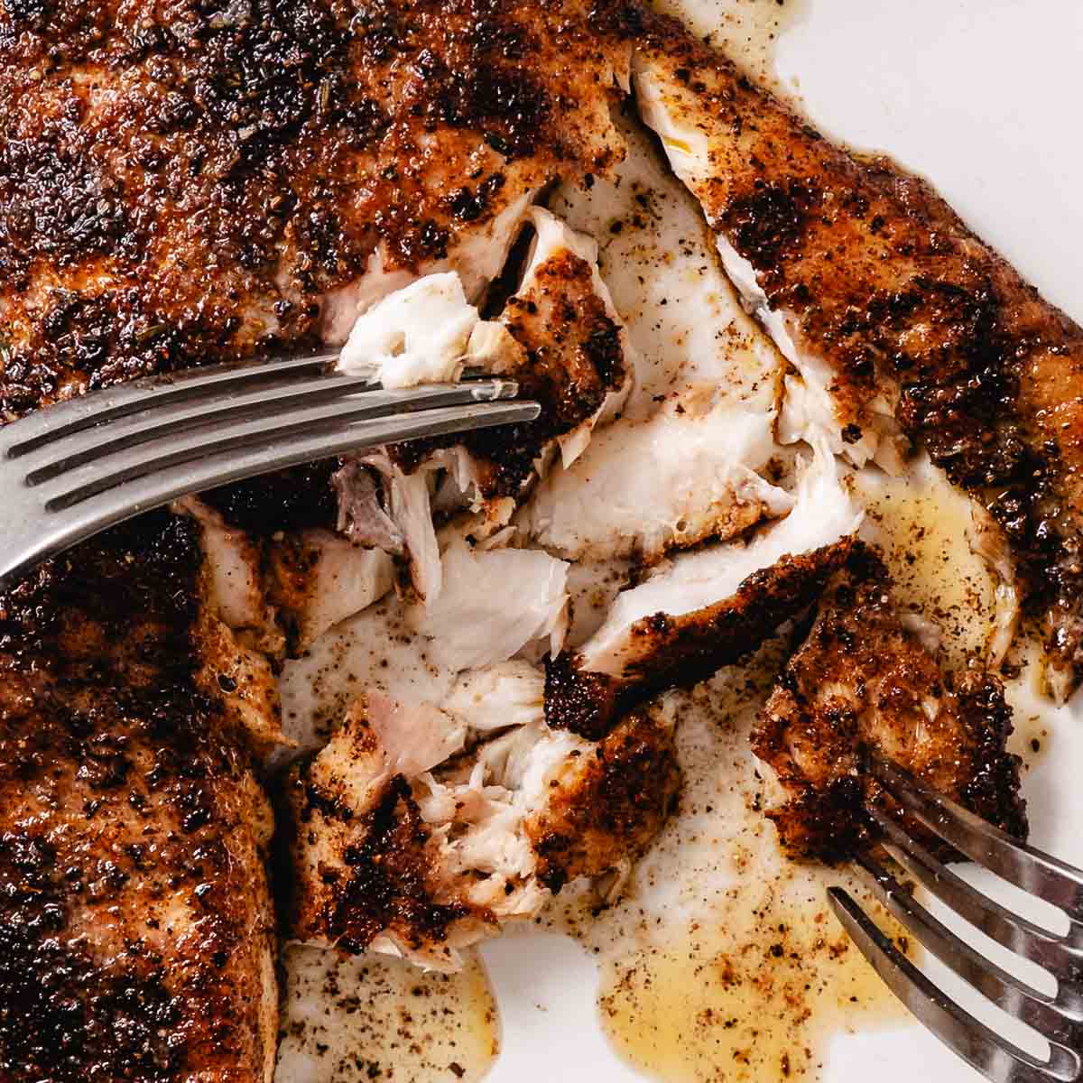 Blackened fish flaking apart with two forks after cooking