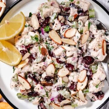 Turkey salad with dried cranberries, celery, red onion, fresh herbs, and sliced almonds in a creamy mayo dressing.
