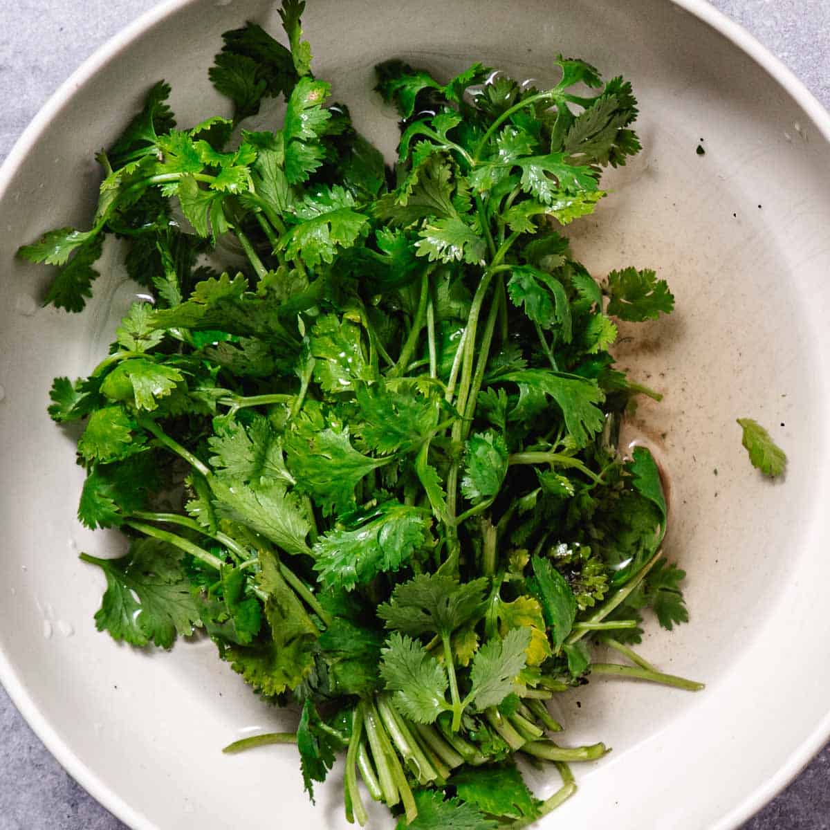 Cilantro soaking in a bowl of cold water to remove sand and grit before chopping.