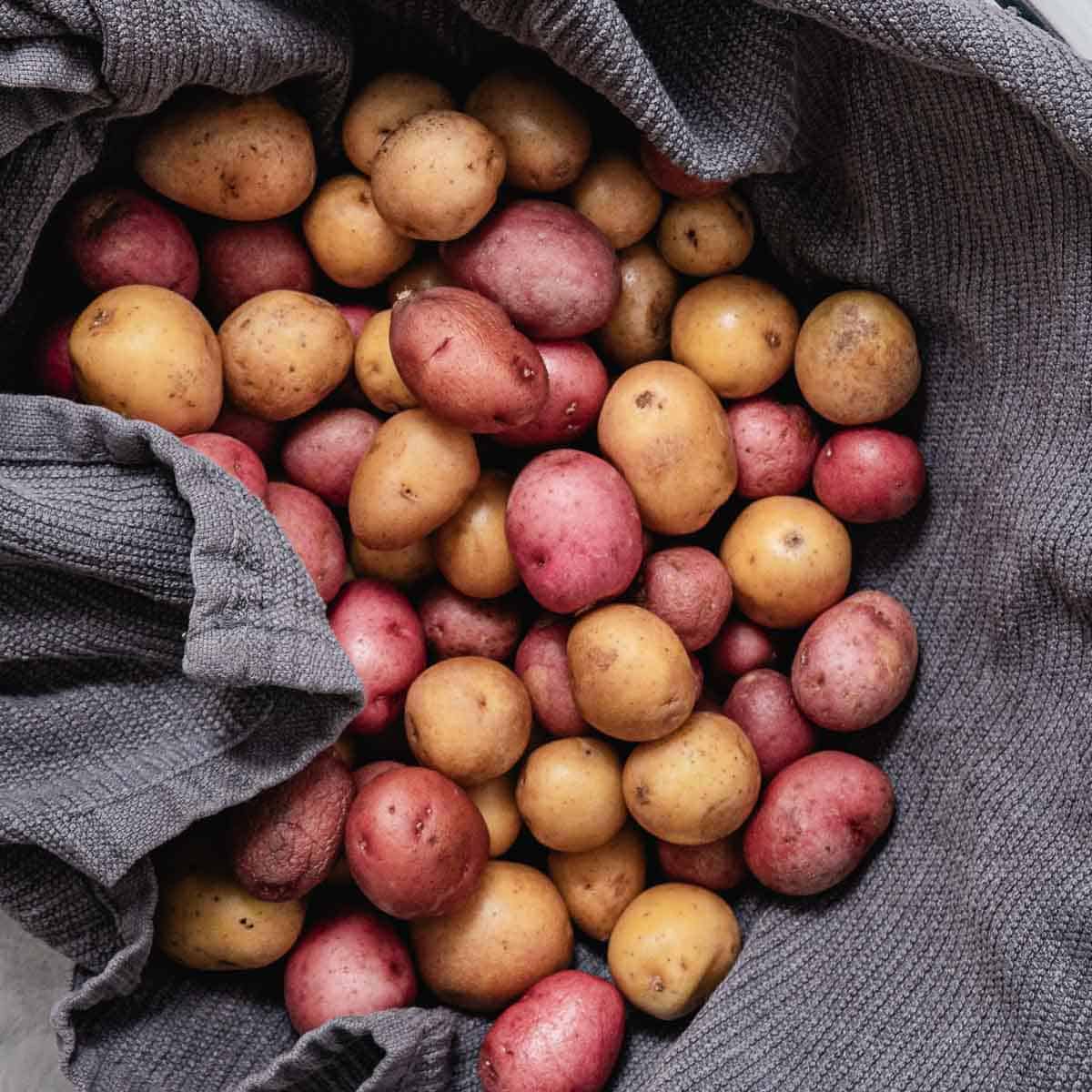 towel drying peewee potatoes