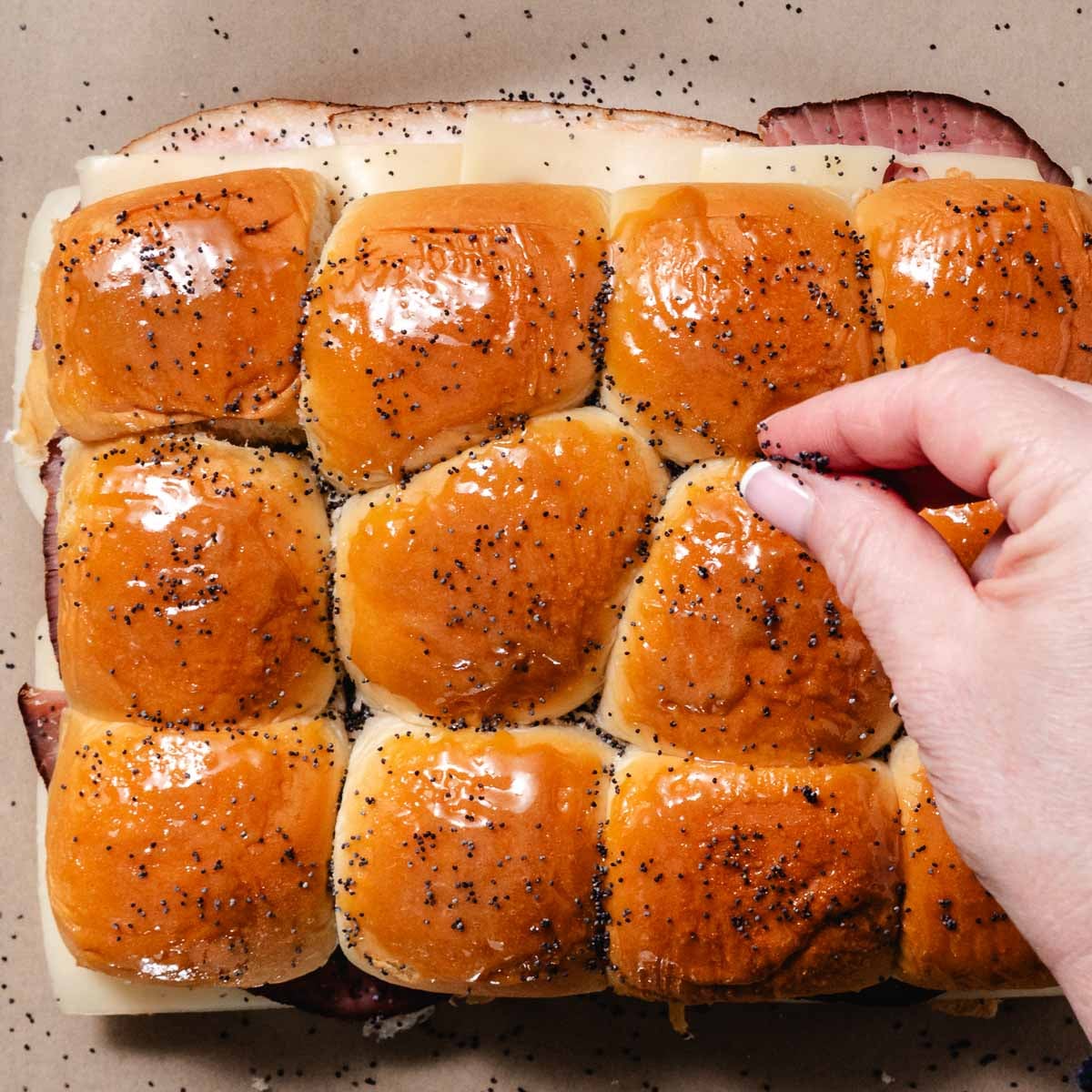 Sprinkling poppy seeds over the rolls.